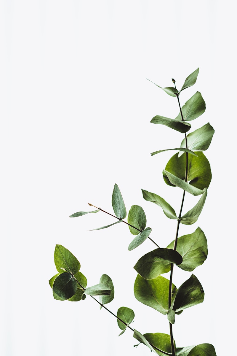 What Is Sustainability? A Simple Guide For Everyday Life